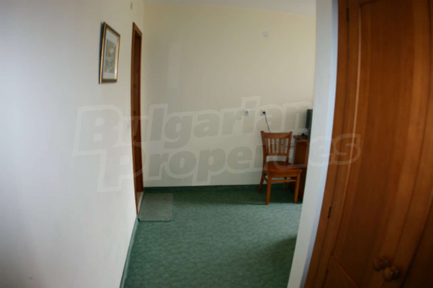 Gallery Picture 44