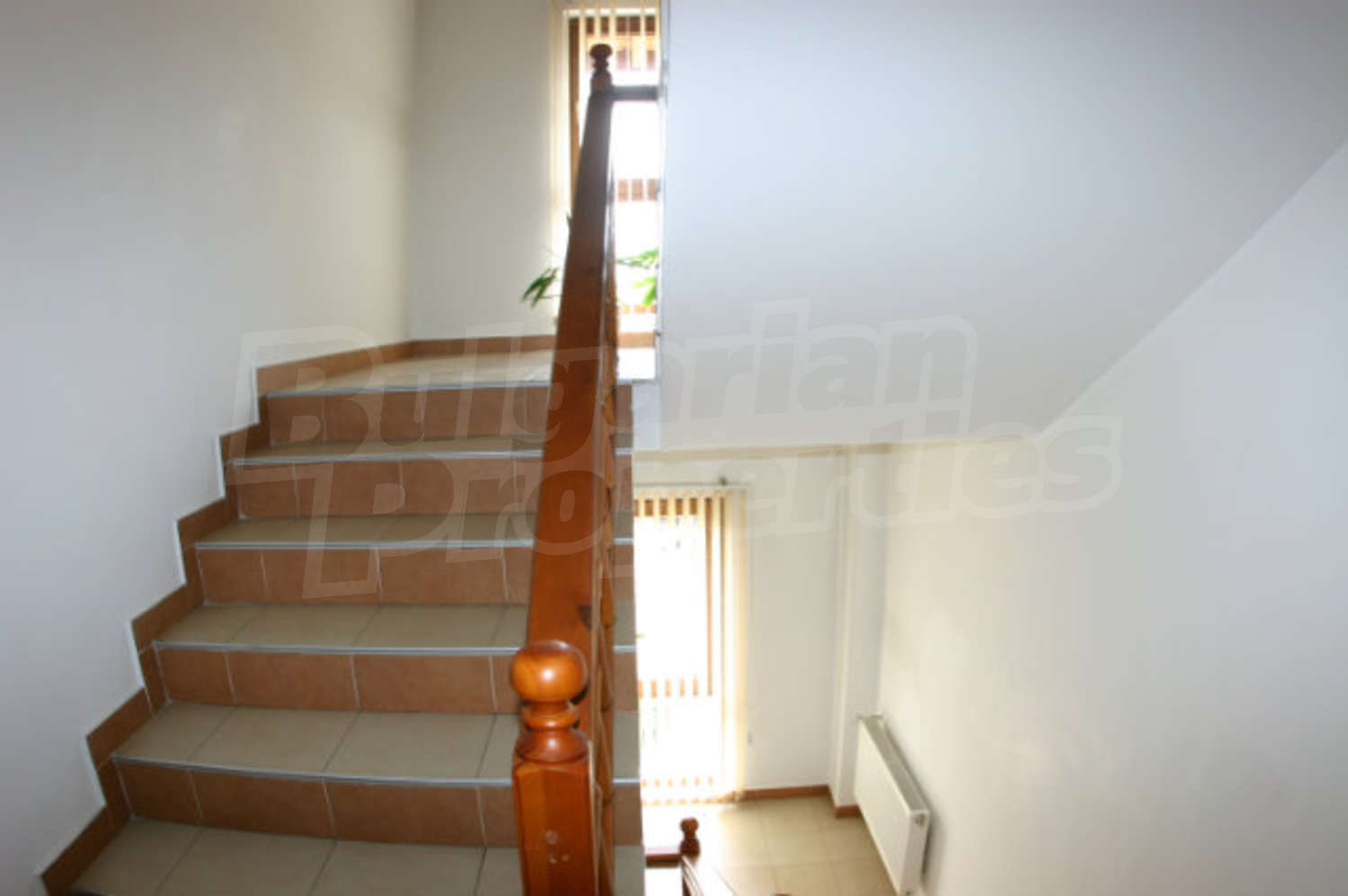 Gallery Picture 50