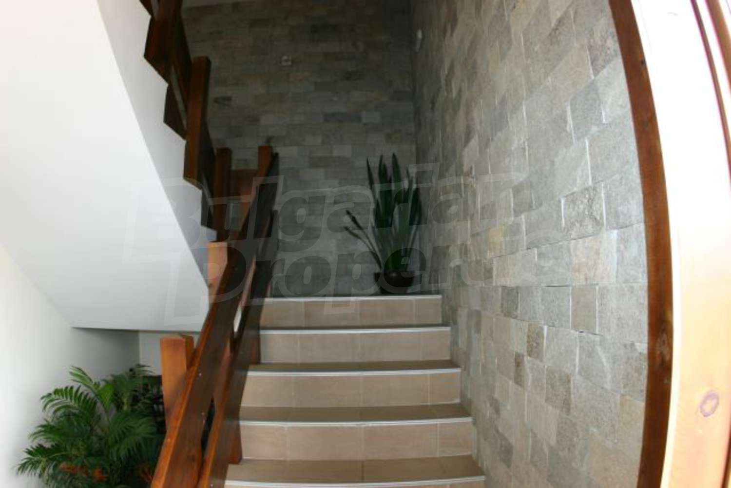 Gallery Picture 11