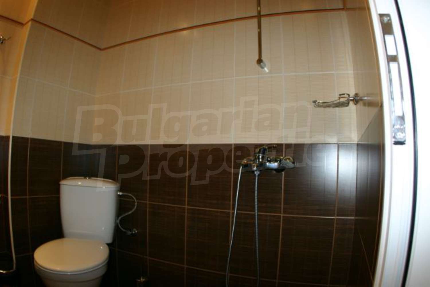 Gallery Picture 16