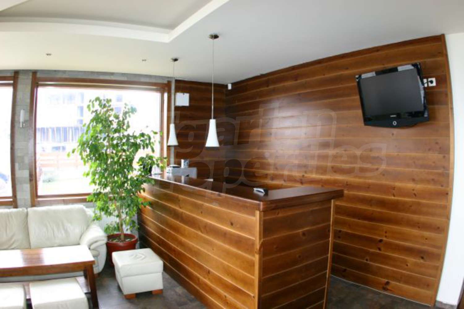 Gallery Picture 7
