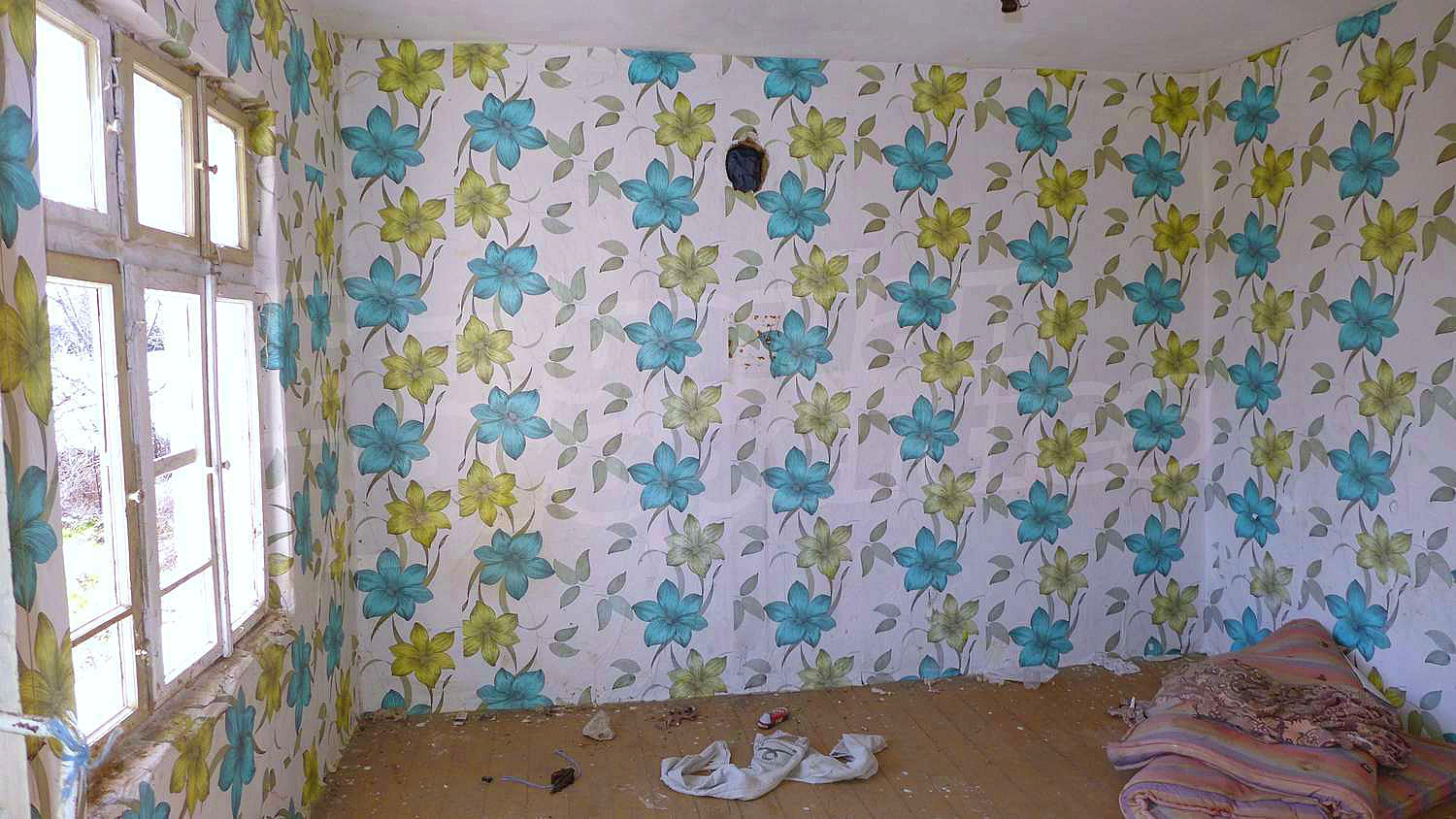 Gallery Picture 9