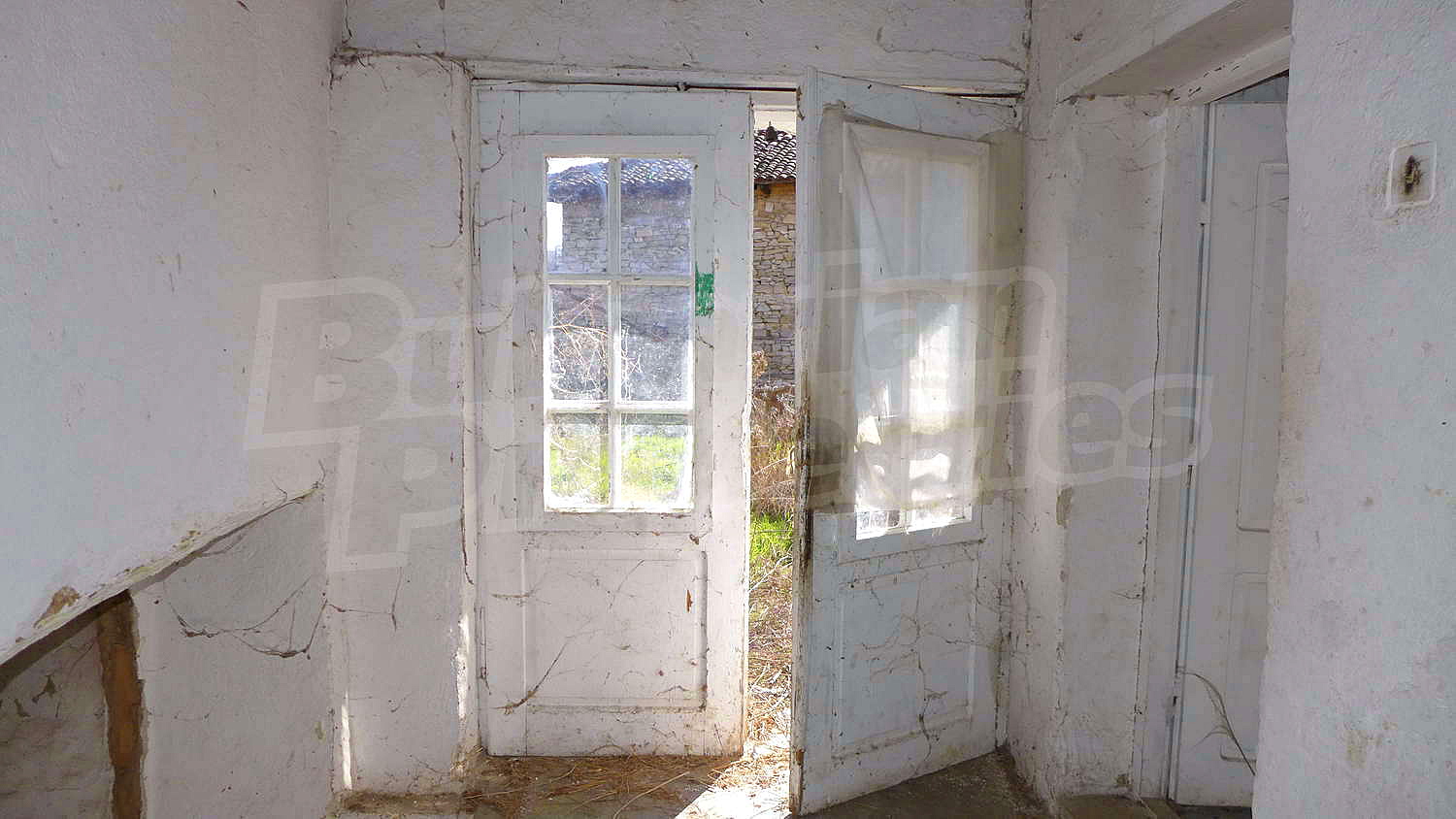Gallery Picture 21