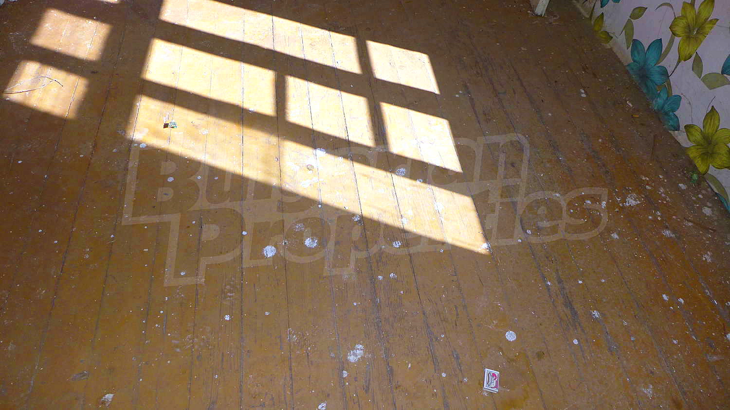 Gallery Picture 10