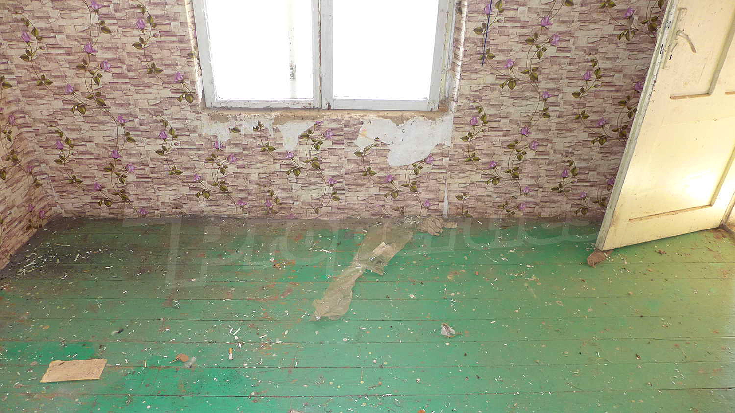 Gallery Picture 15