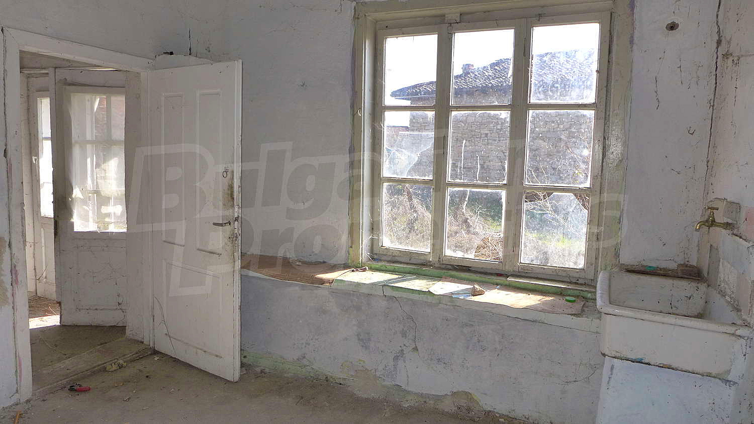 Gallery Picture 25