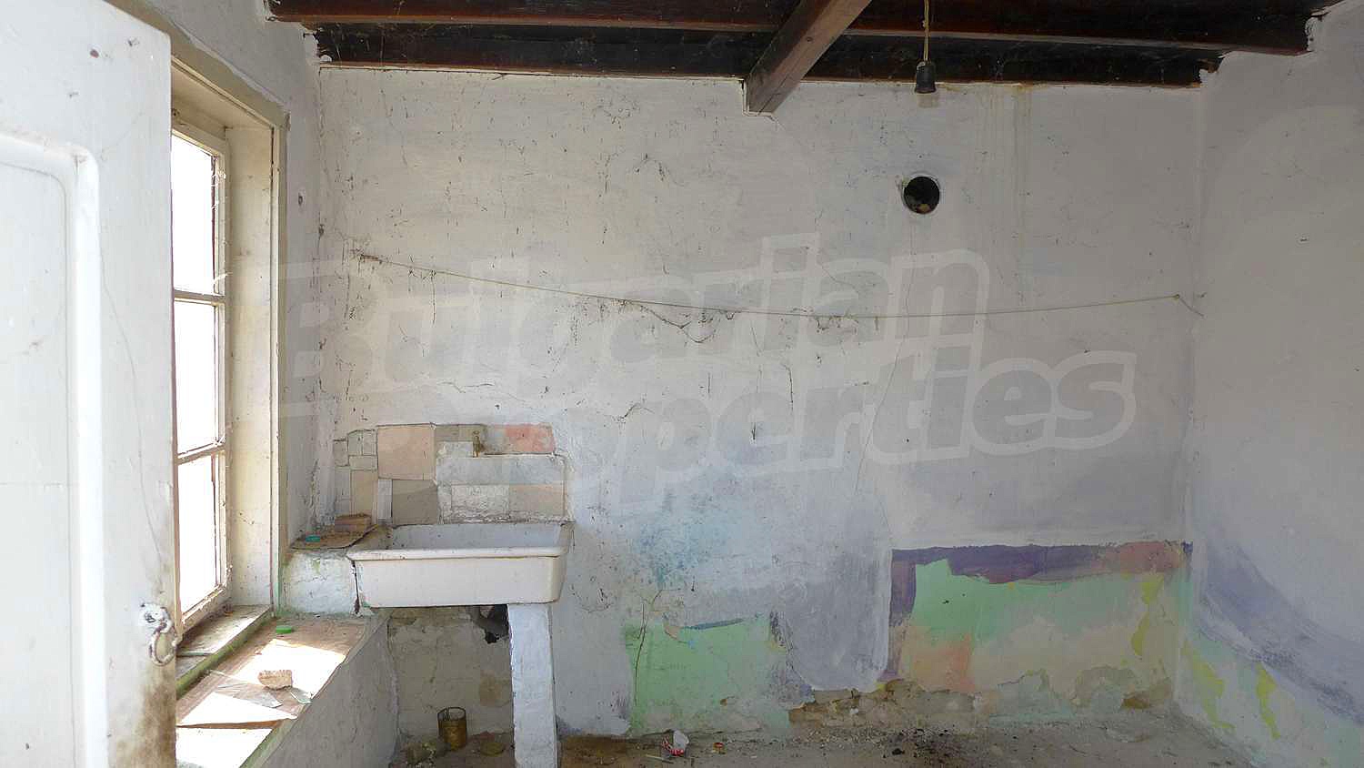 Gallery Picture 23
