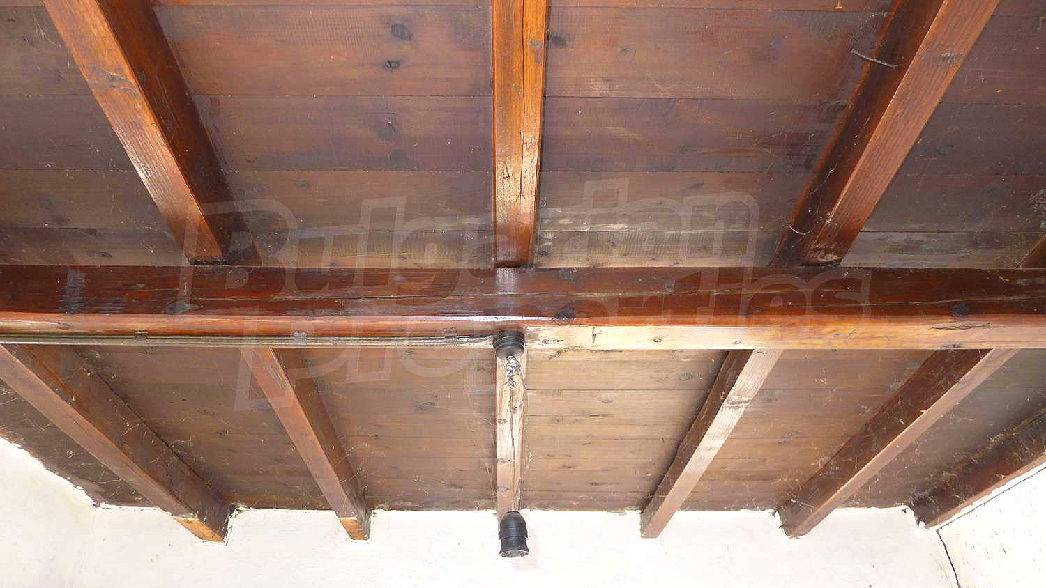 Gallery Picture 27