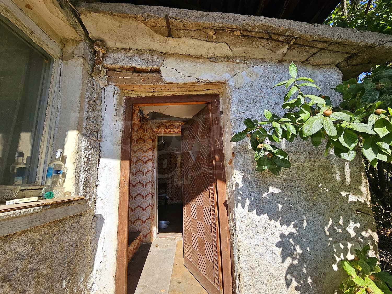 Gallery Picture 17