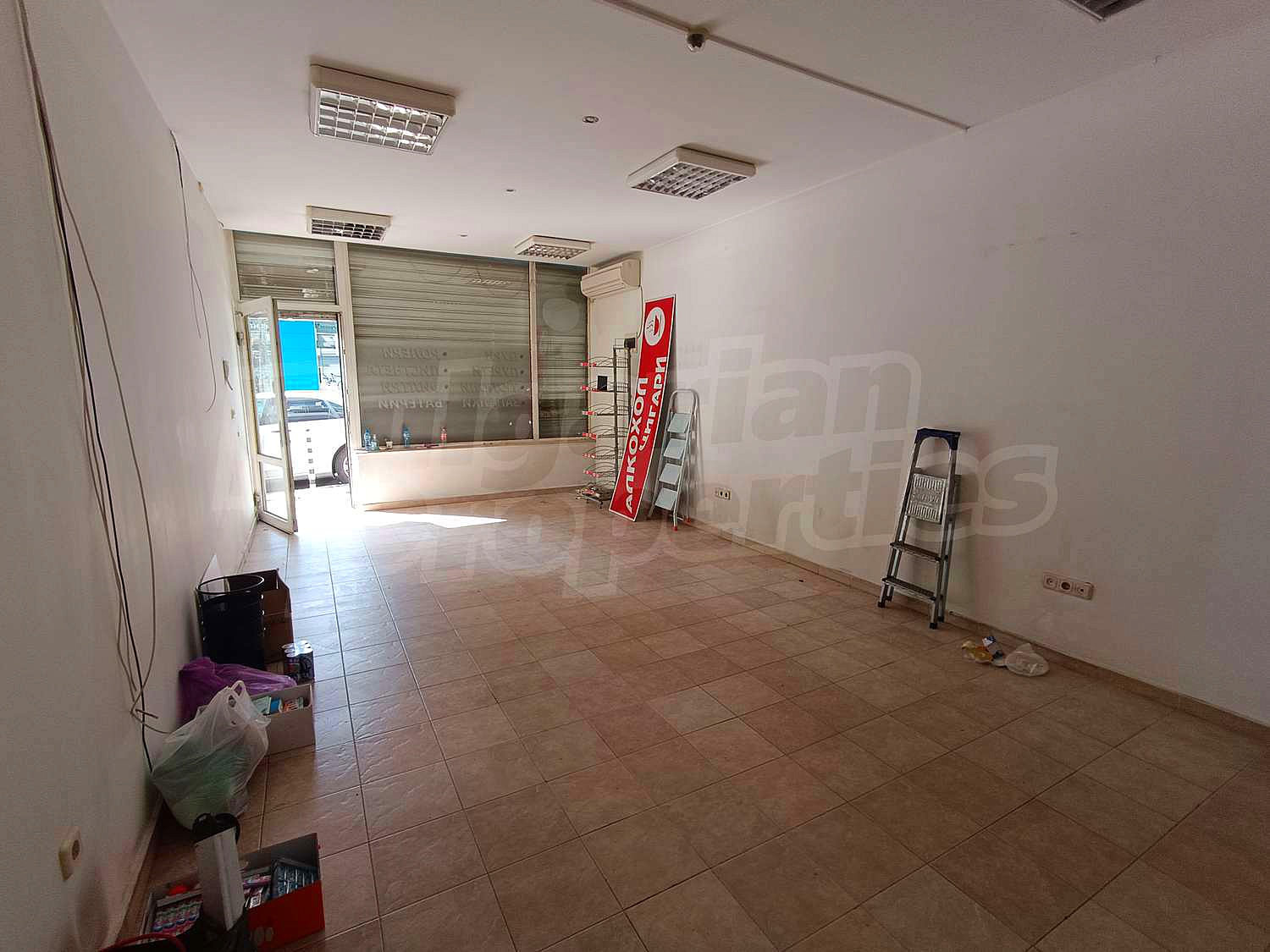 Gallery Picture 5