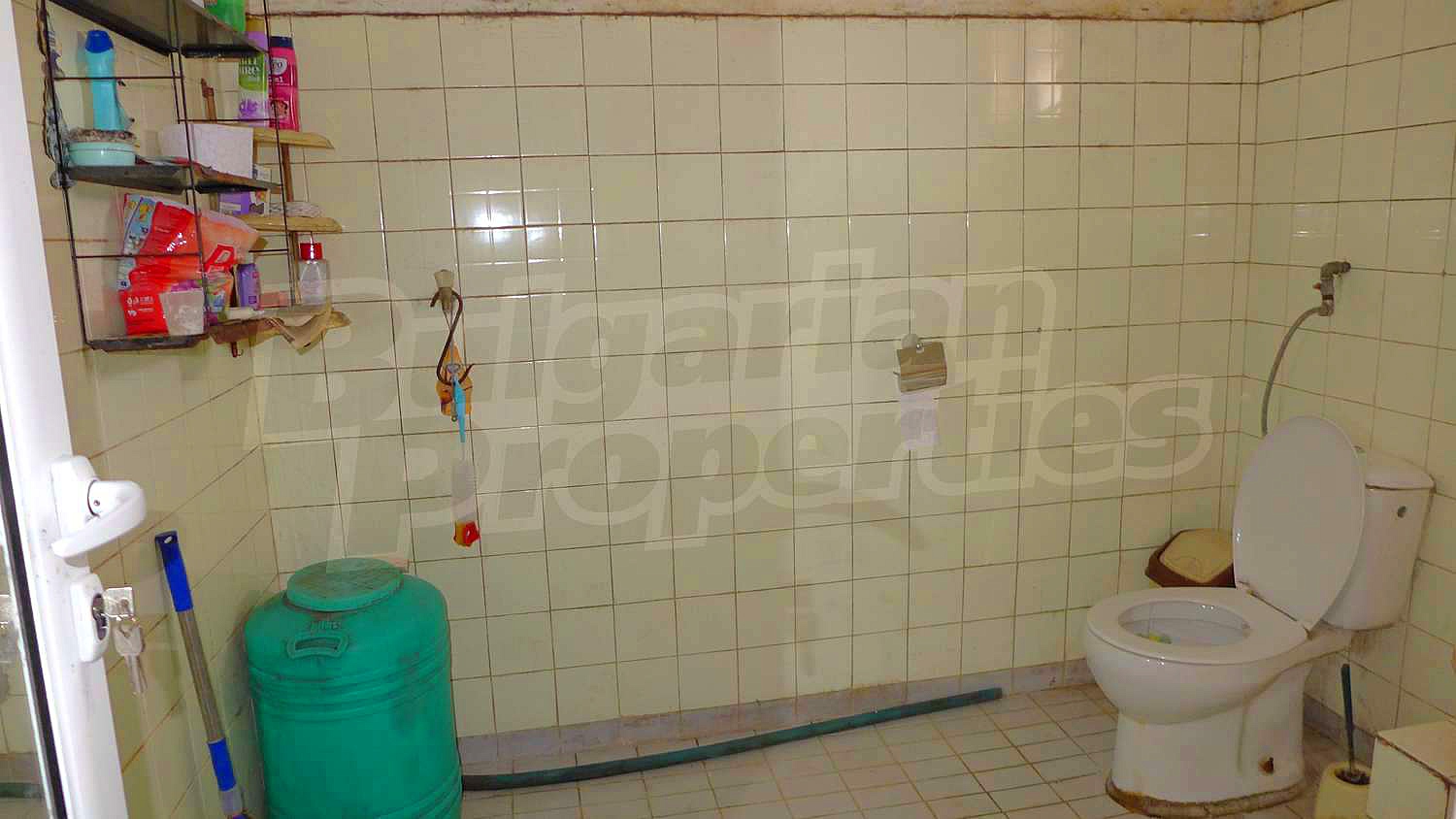 Gallery Picture 29