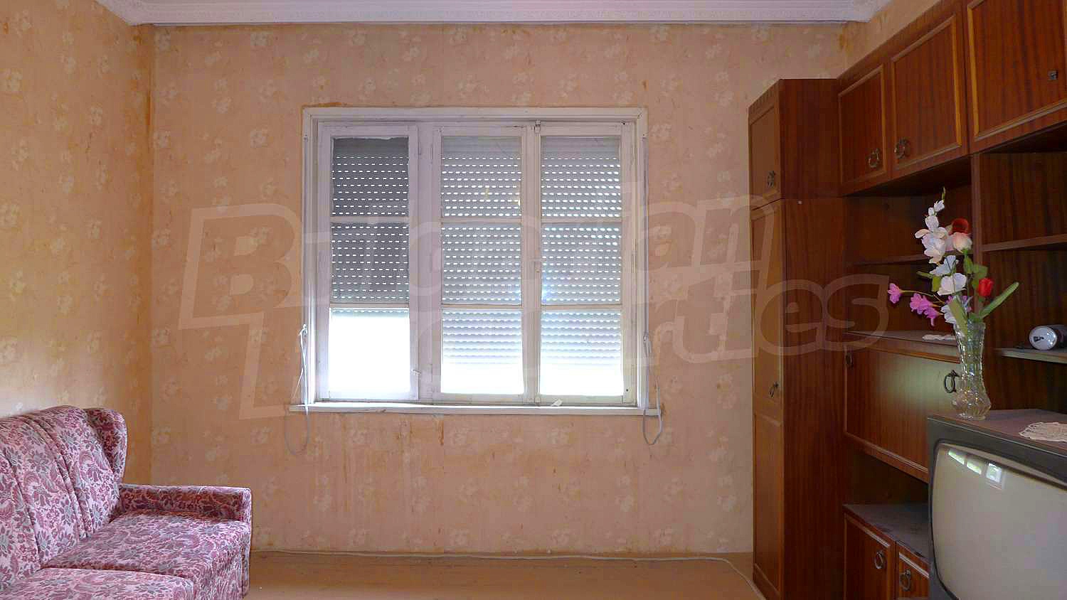 Gallery Picture 37