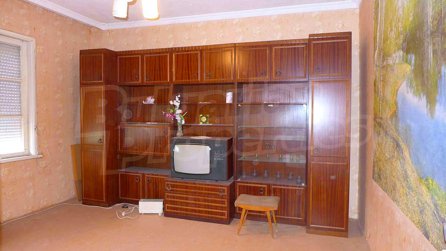 Gallery Picture 36