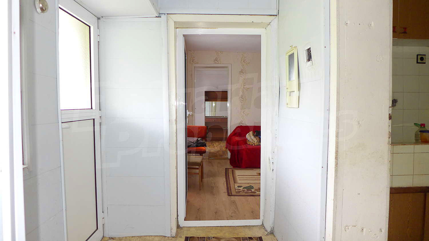 Gallery Picture 19