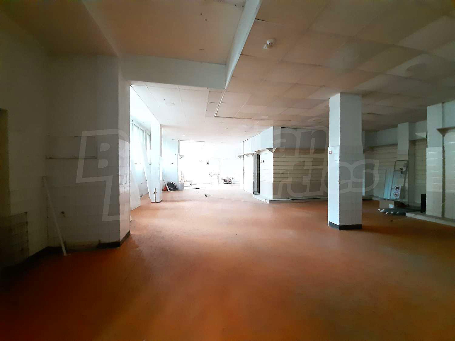 Gallery Picture 14
