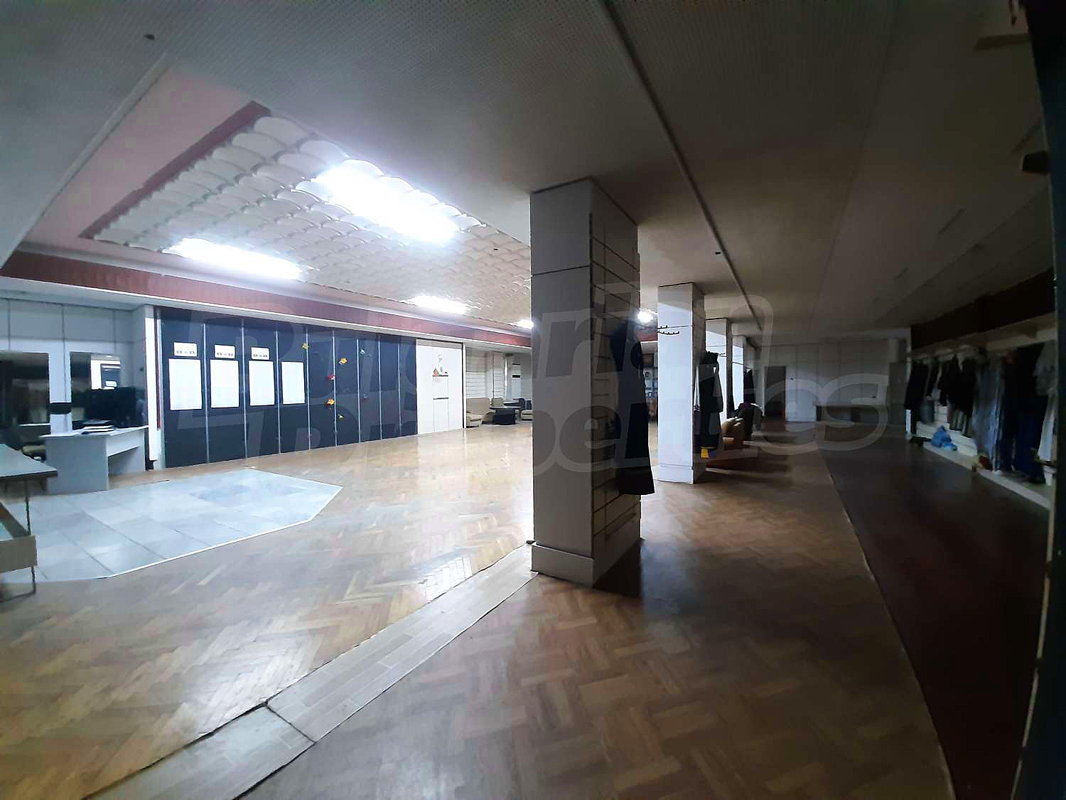 Gallery Picture 11