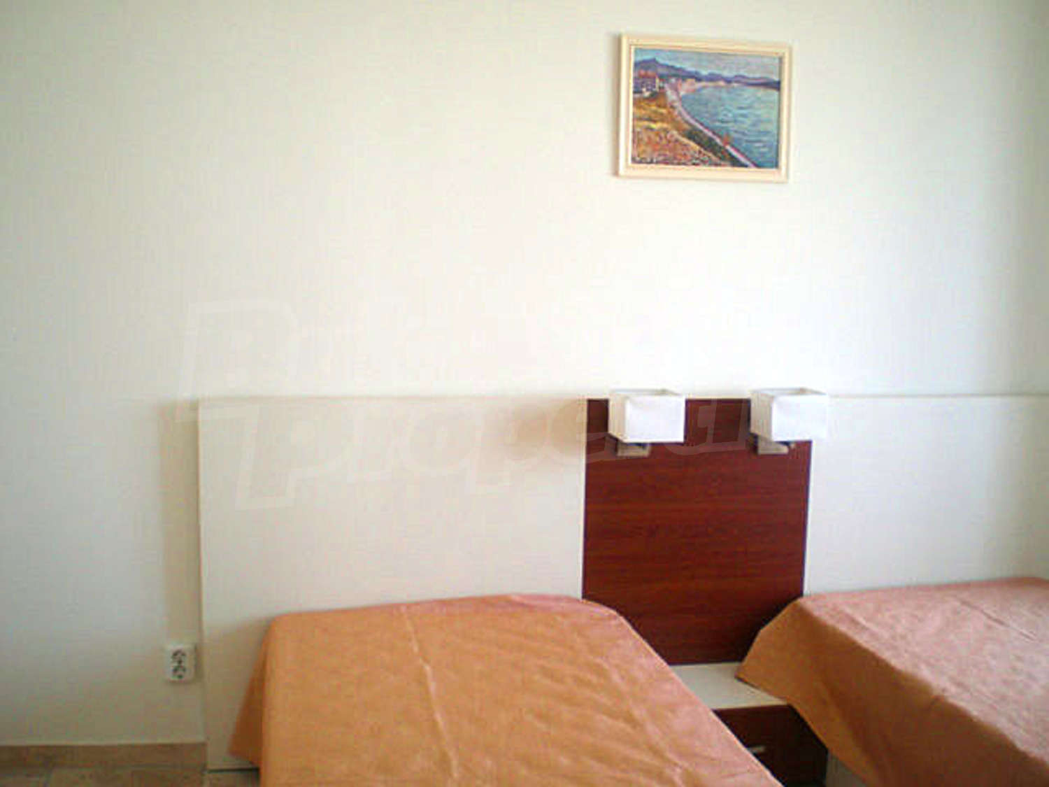 Gallery Picture 12