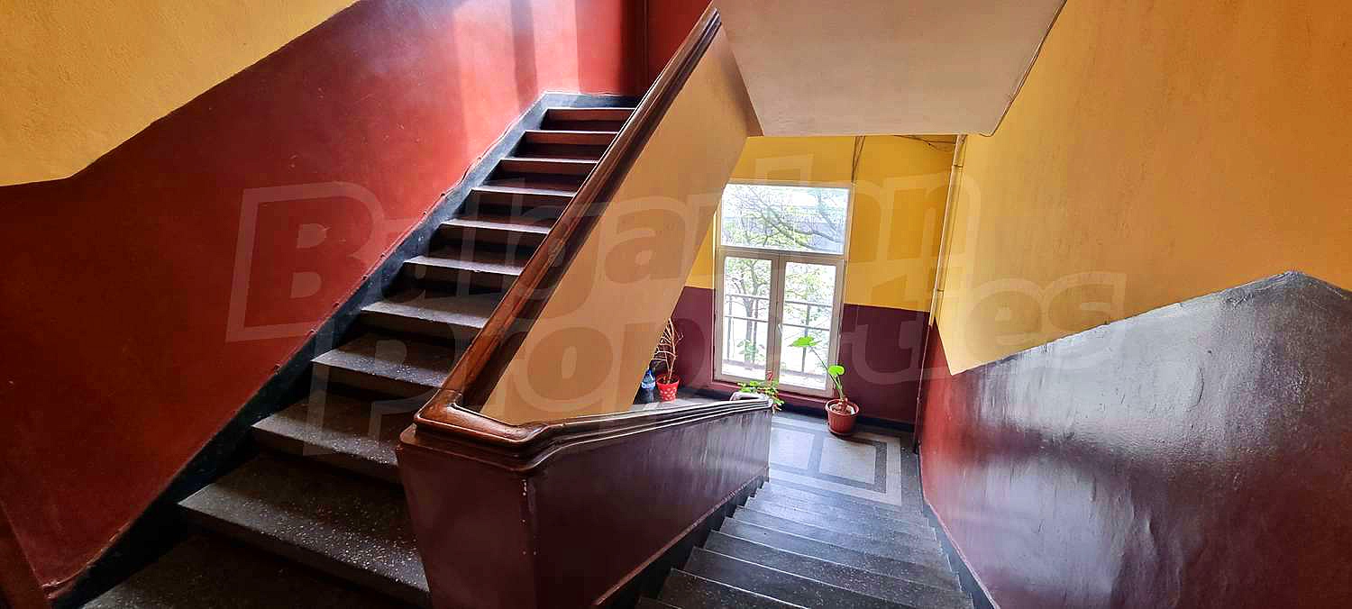 Gallery Picture 16