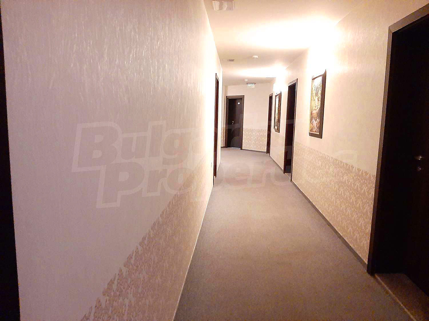 Gallery Picture 8