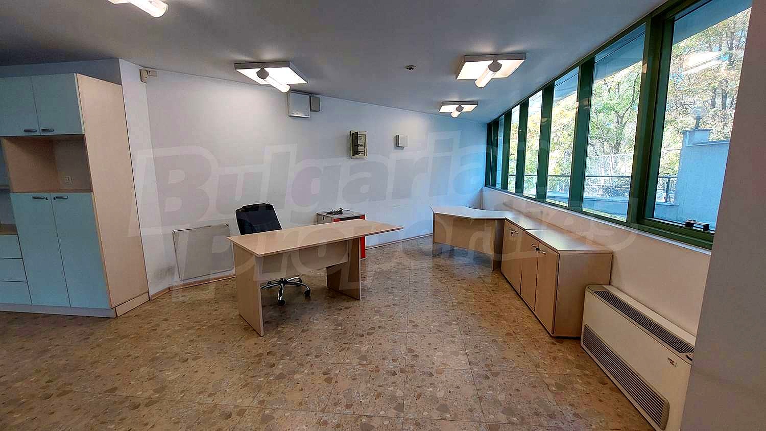 Gallery Picture 12