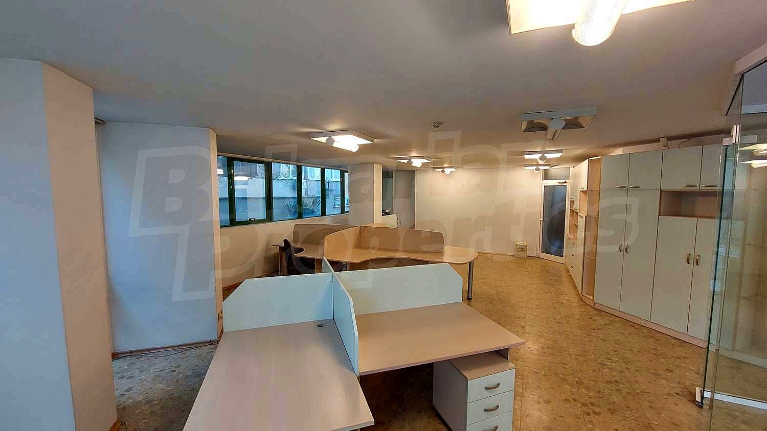 Gallery Picture 7