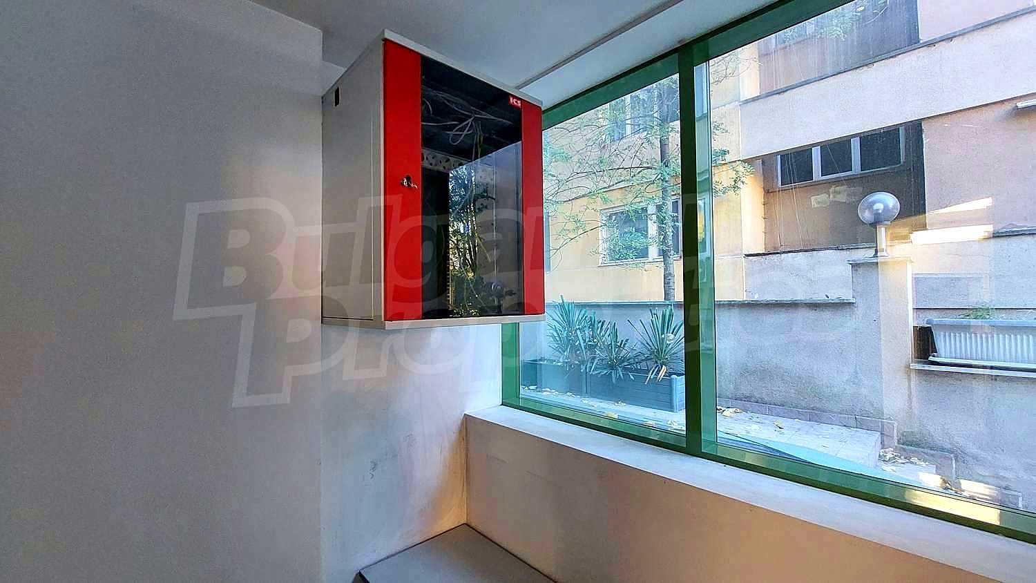Gallery Picture 17