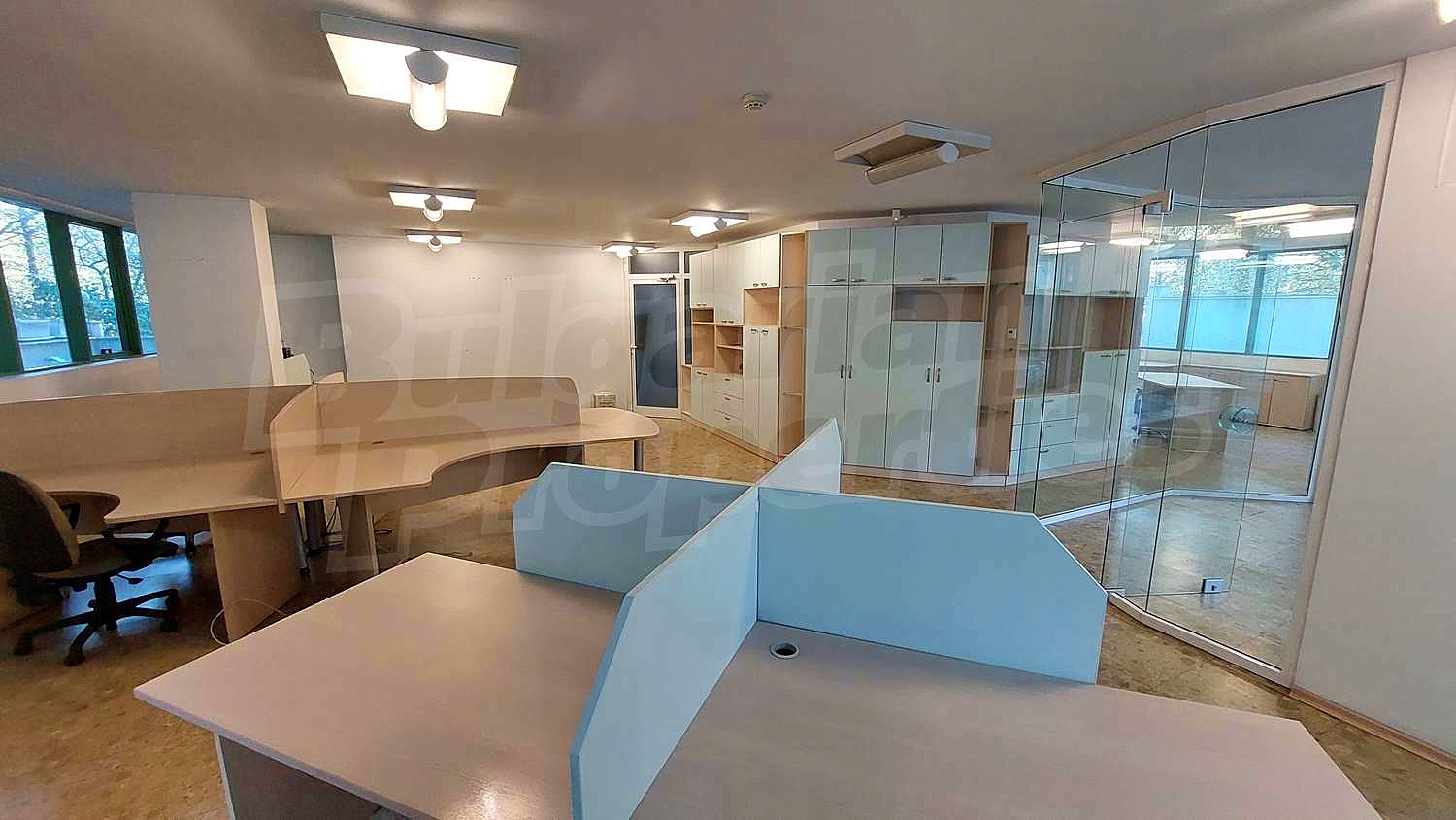 Gallery Picture 6
