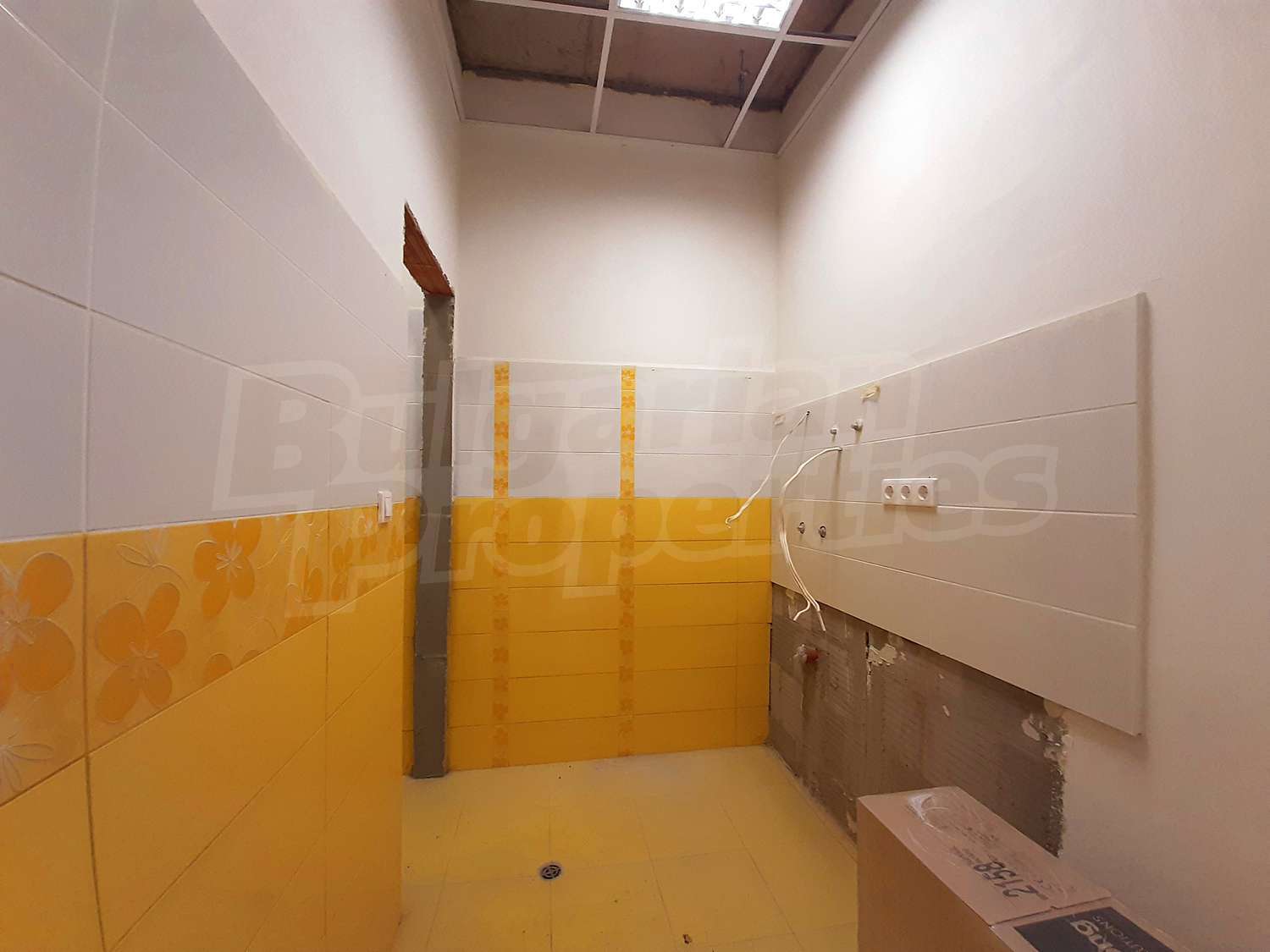Gallery Picture 7