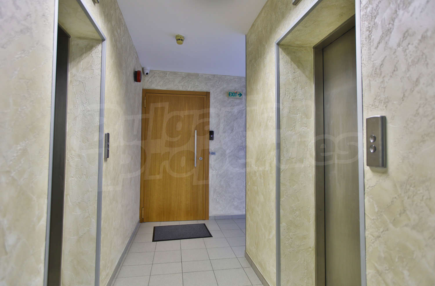 Gallery Picture 26