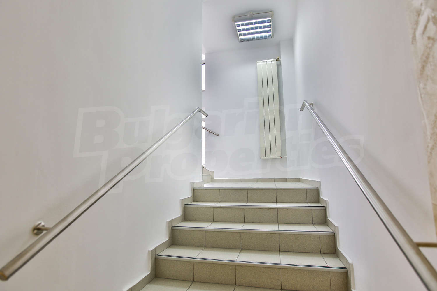 Gallery Picture 27