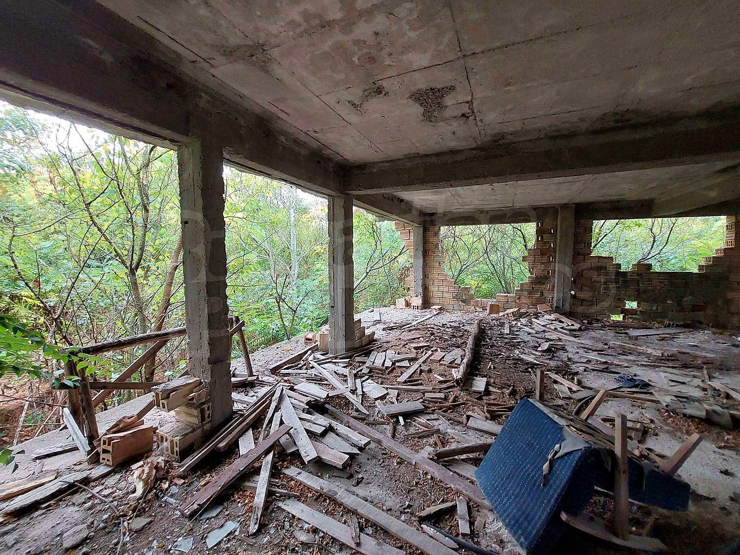 Gallery Picture 10
