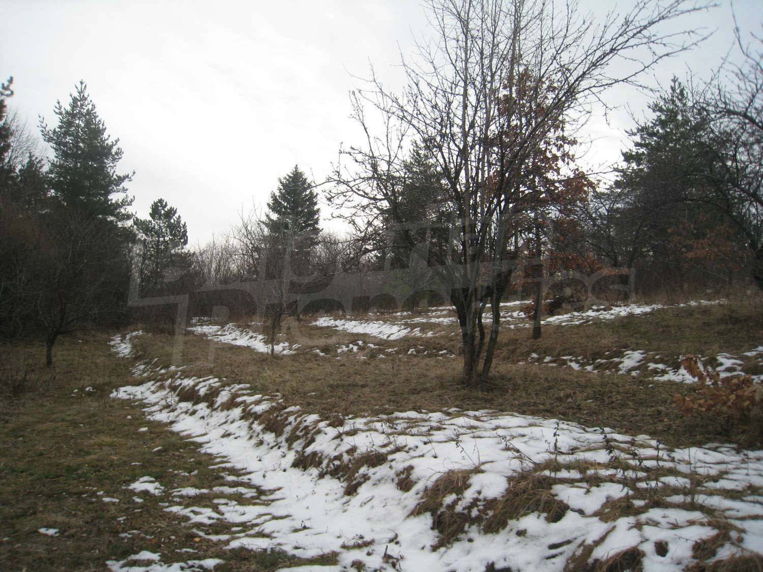 Gallery Picture 10