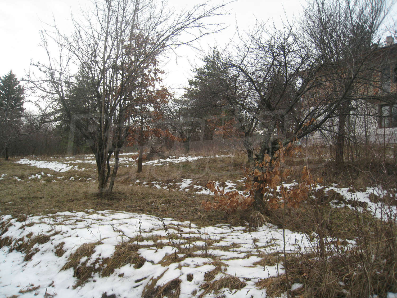 Gallery Picture 11