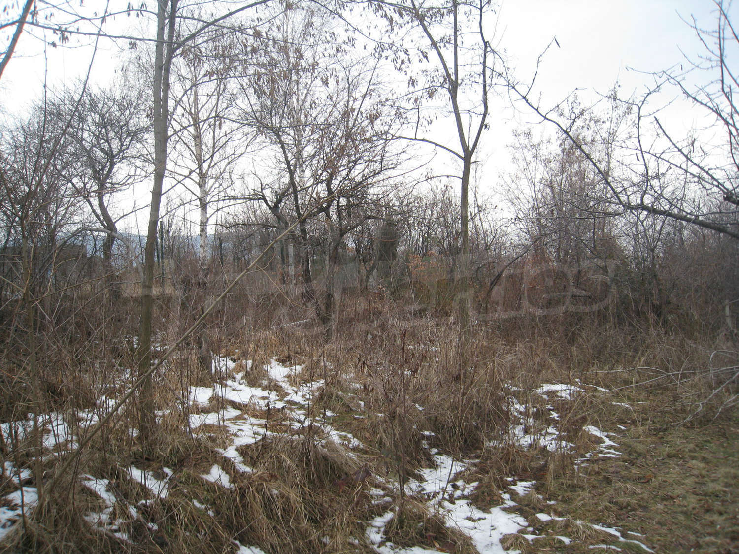 Gallery Picture 13