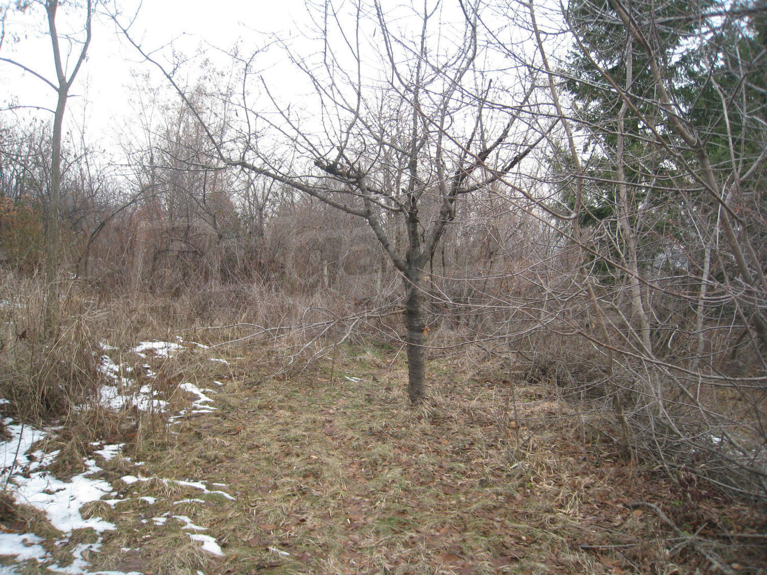 Gallery Picture 14
