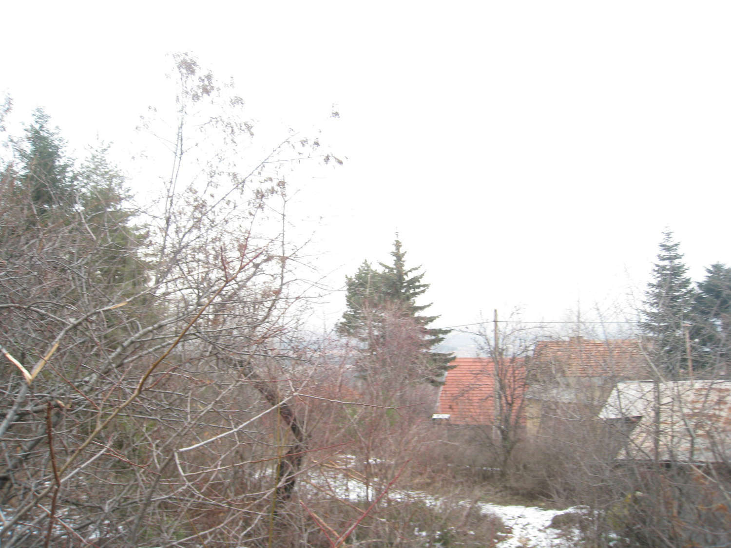 Gallery Picture 15