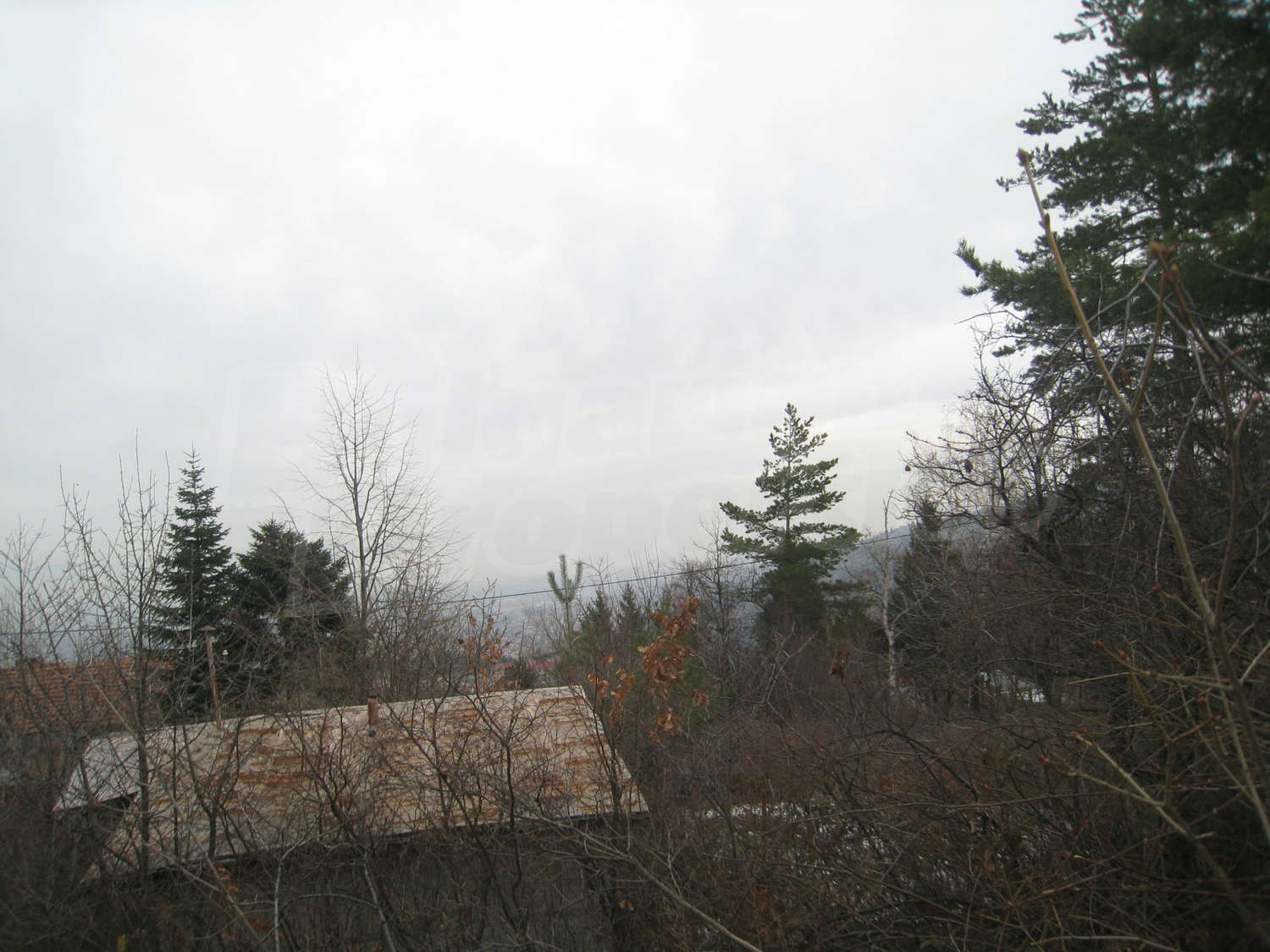 Gallery Picture 16