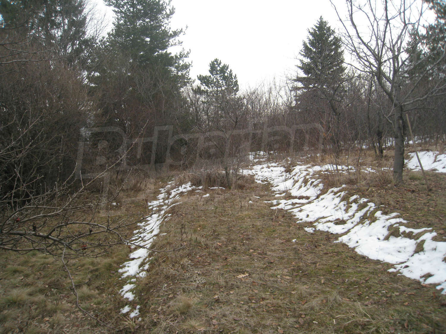 Gallery Picture 21