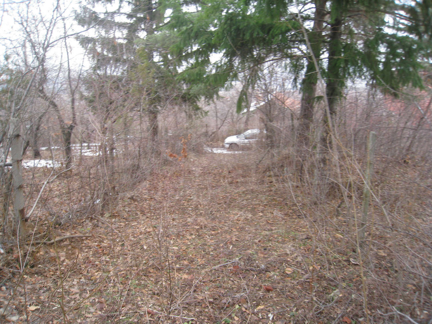 Gallery Picture 25