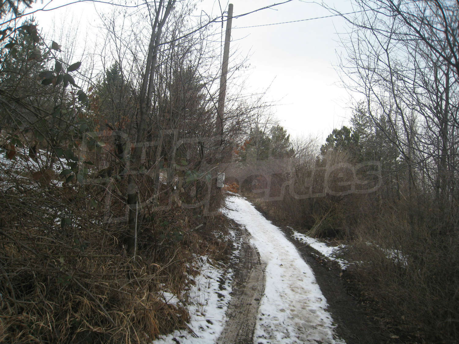 Gallery Picture 26