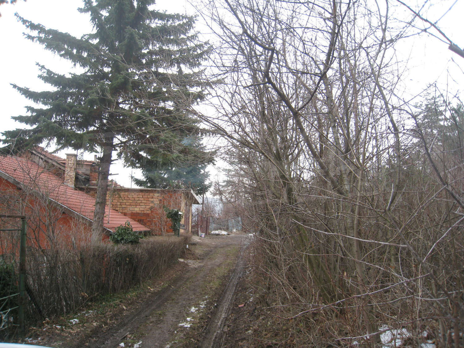 Gallery Picture 27