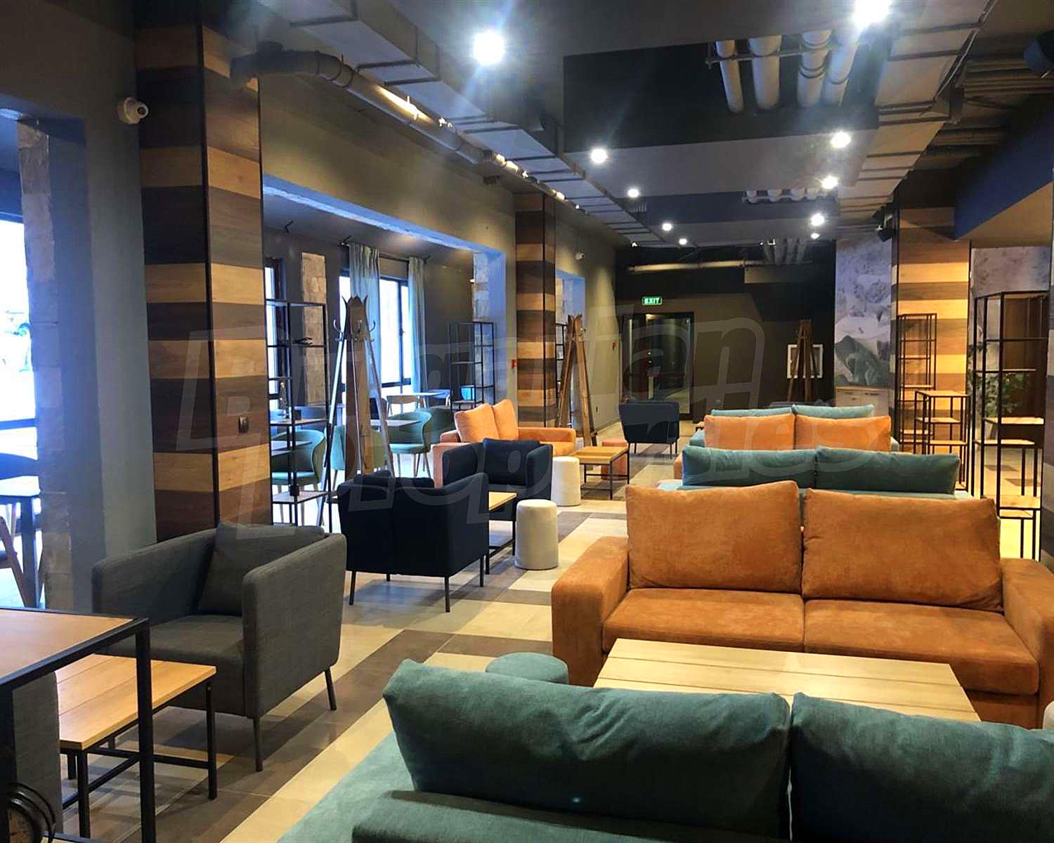 Gallery Picture 15