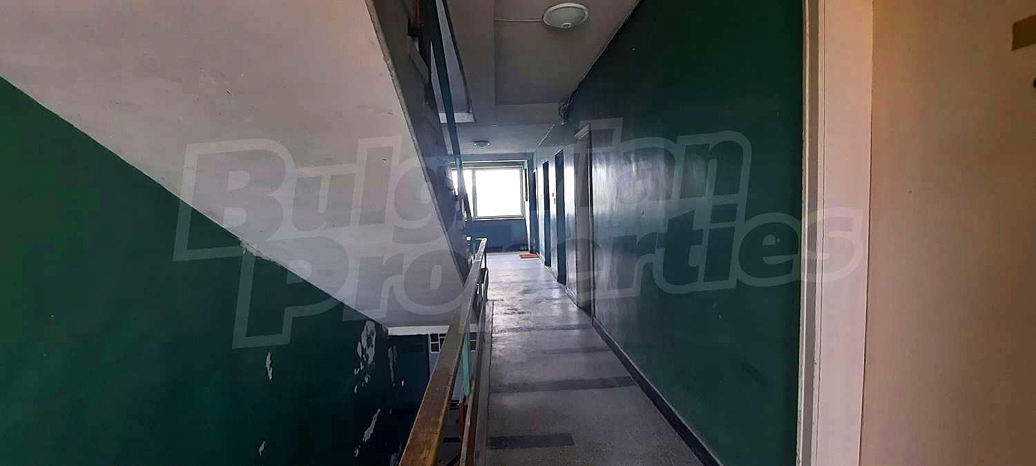 Gallery Picture 10
