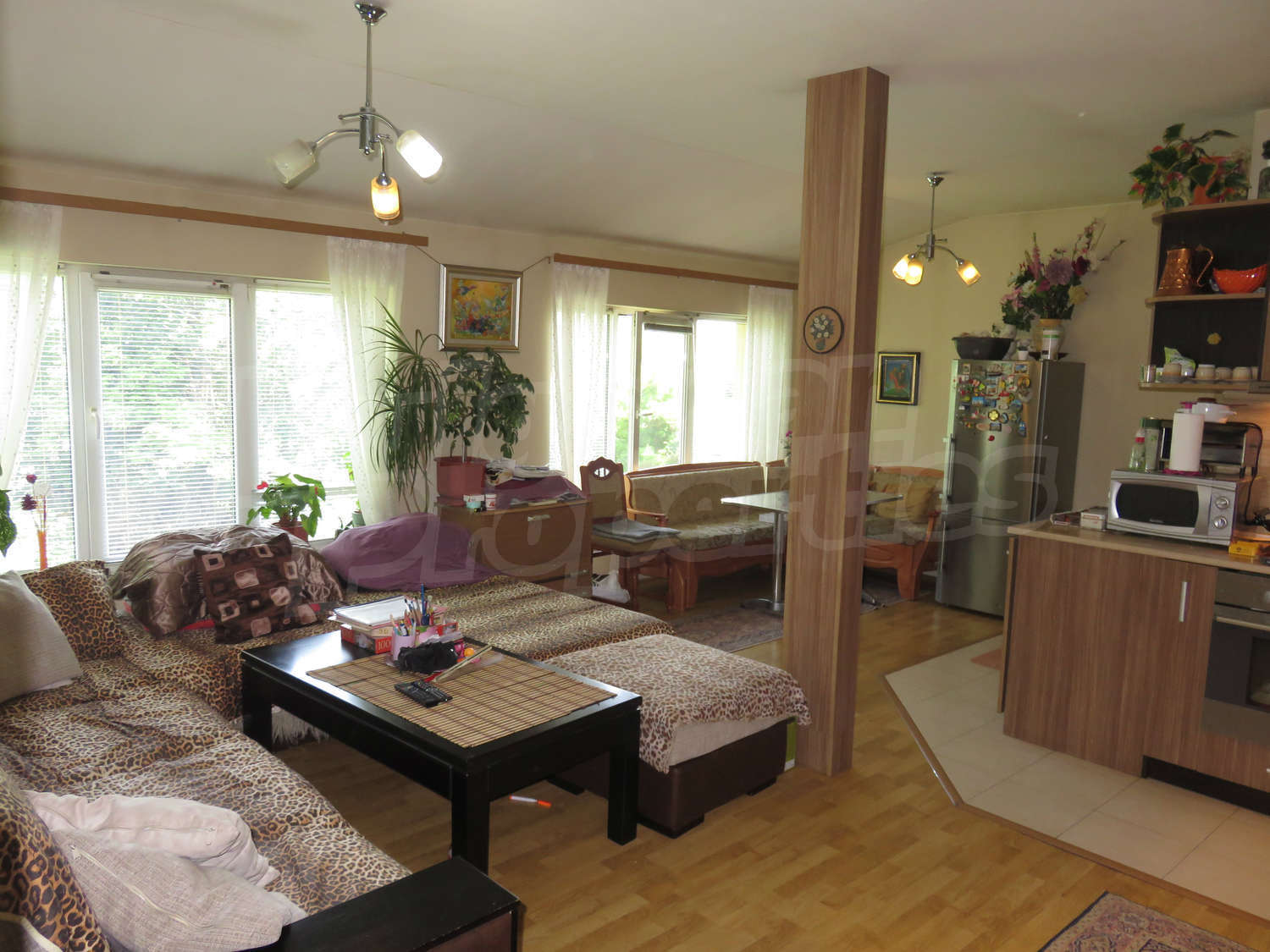 Gallery Picture 13