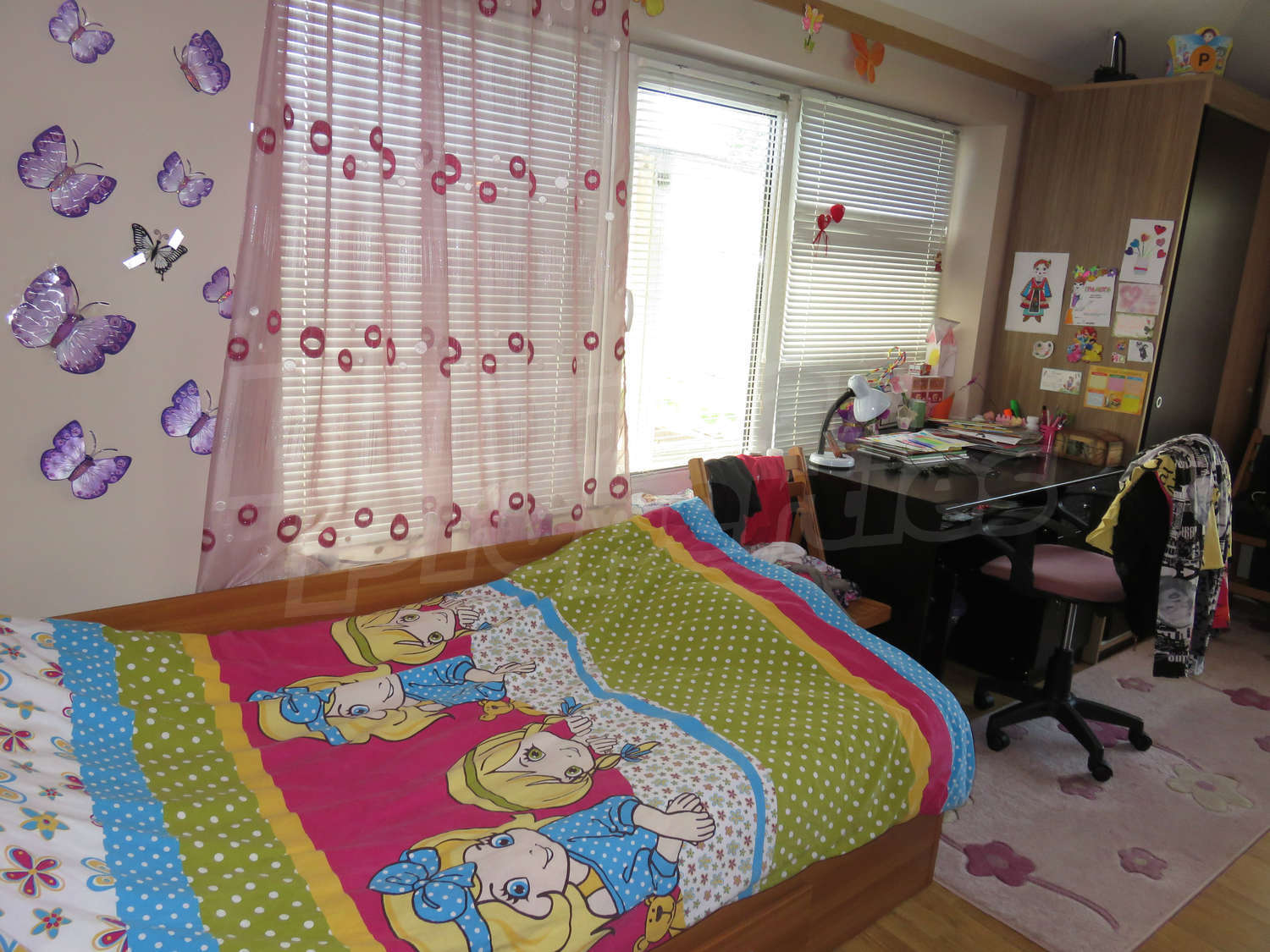 Gallery Picture 20