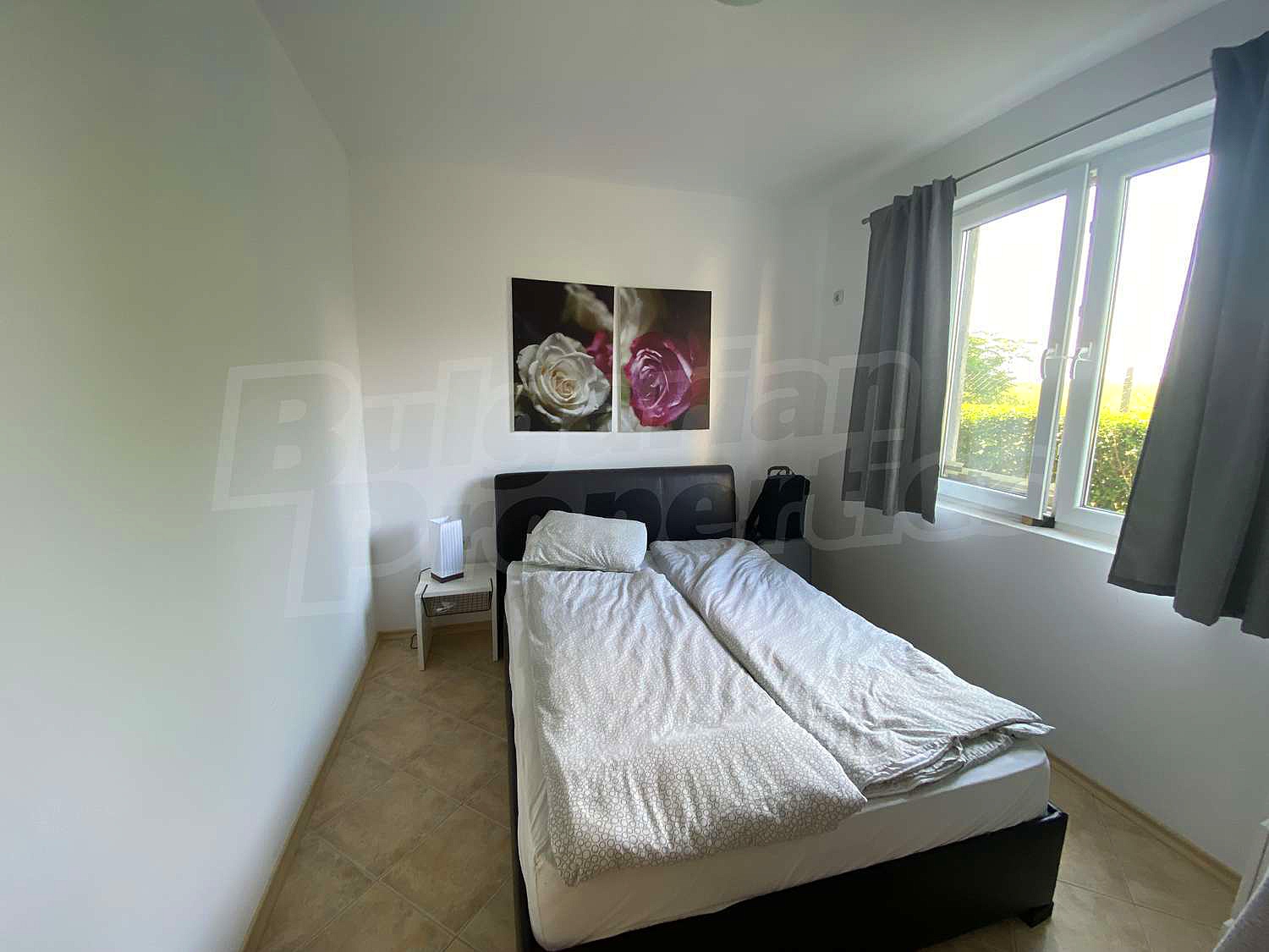 Gallery Picture 19