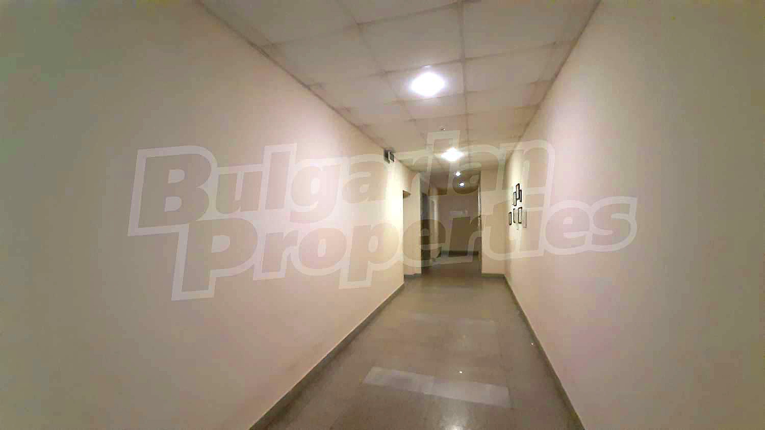 Gallery Picture 12