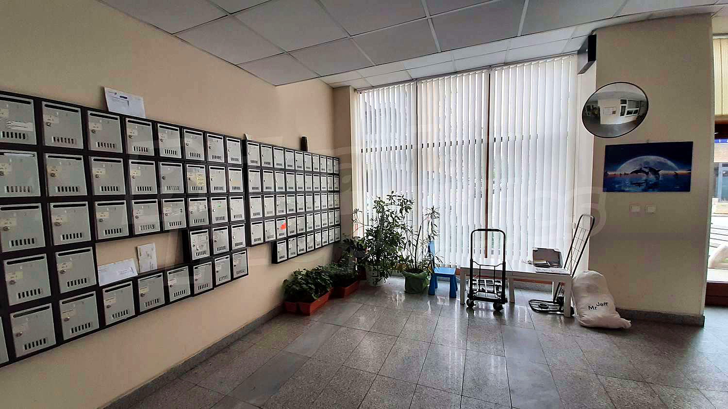 Gallery Picture 13