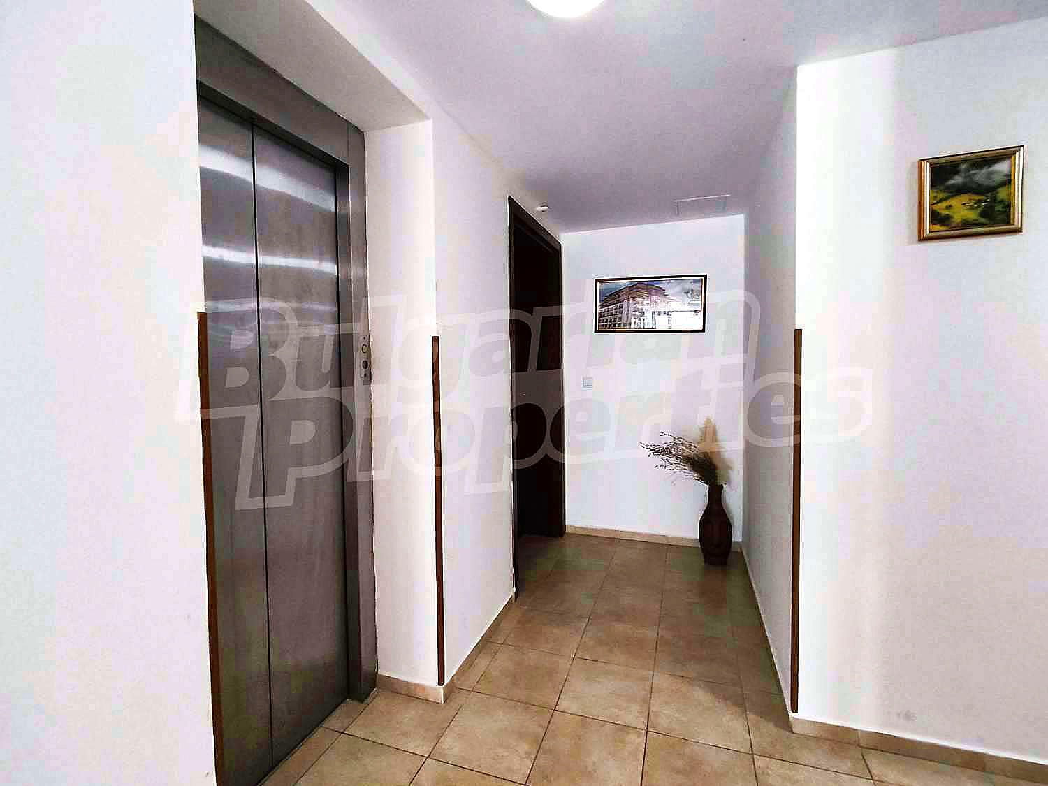 Gallery Picture 21