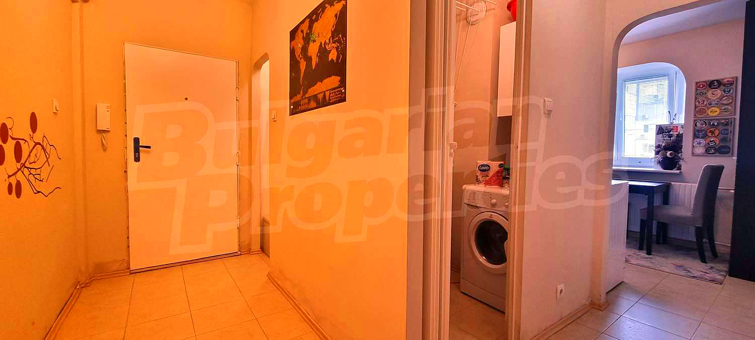 Gallery Picture 5